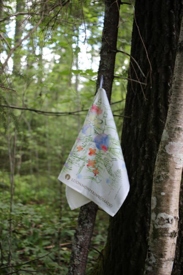 IMG_6475 IMG_6475