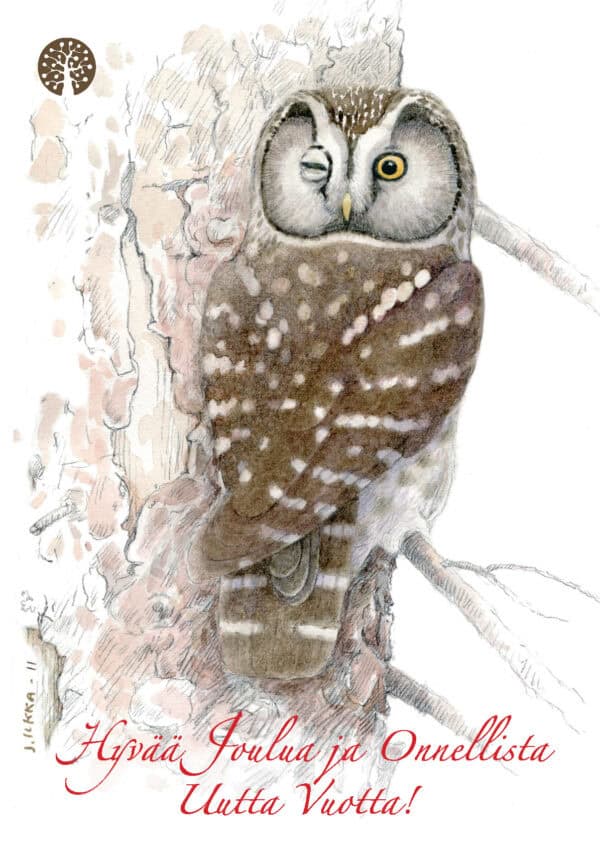 Joulukortti Helmipöllö Joulukortti Helmipöllö