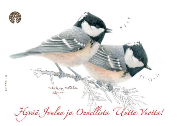 Joulukortti Kuusitiainen