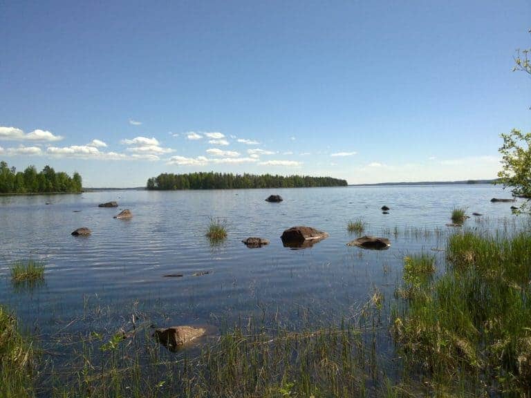 Säätiölle uusi suojelualue Pohjois-Savoon