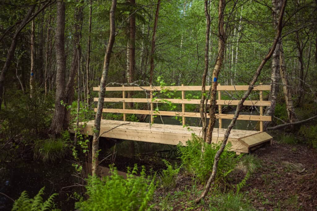Topenginleija / Elämää ulkona -luontopolku. Kuva: Caj Koskinen