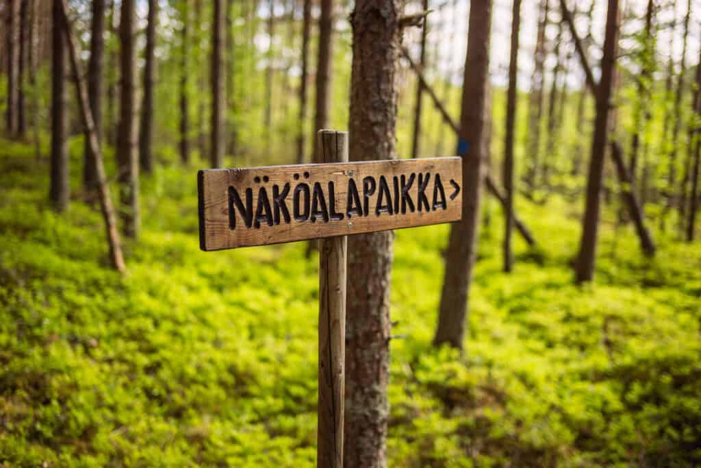 Topenginleija / Elämää ulkona -luontopolku. Kuva: Caj Koskinen
