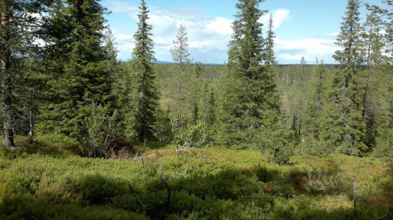Kuusamo Gets Another Conservation Area