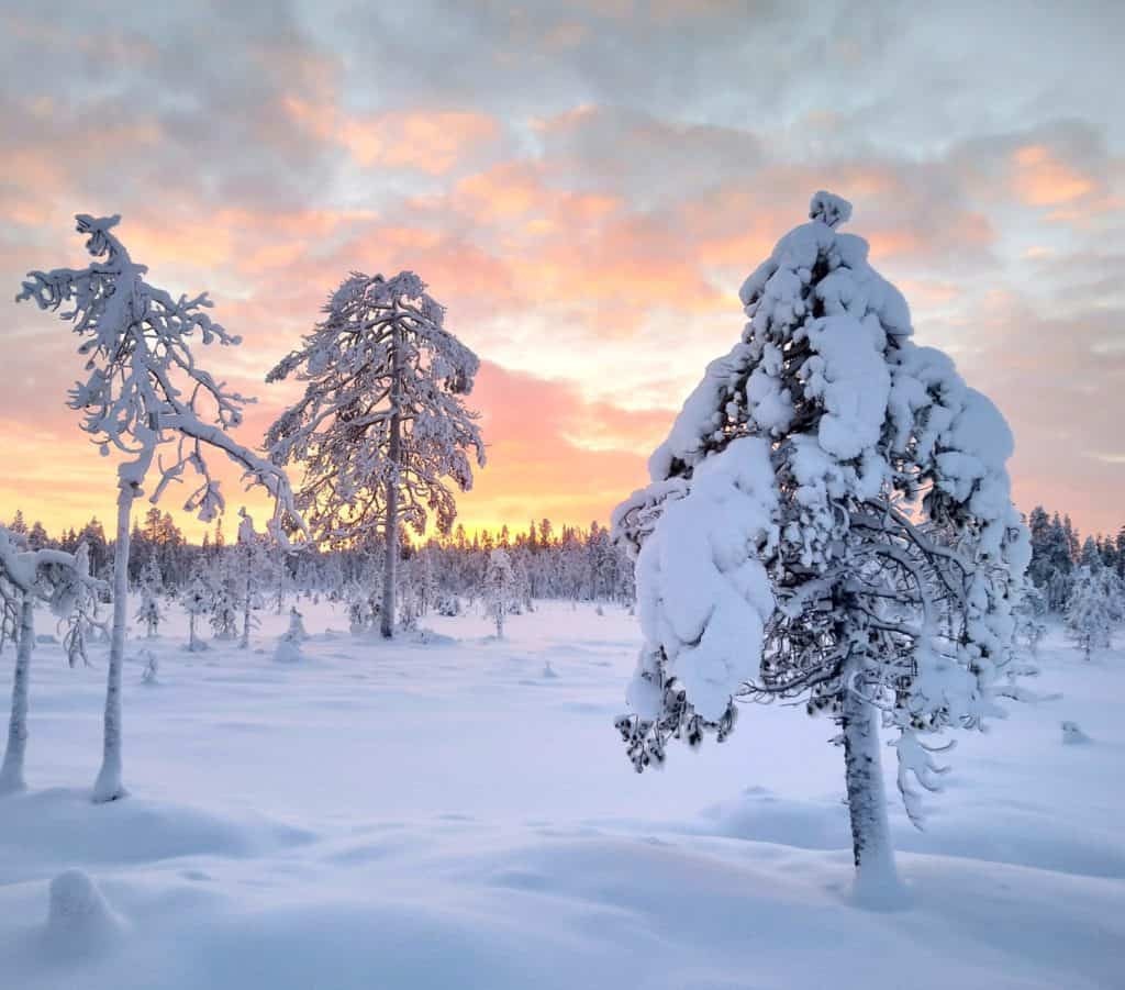 Aarnivalkea-Kivisuo talvipäivänseisauksen valossa, Kuva A-P Auvinen