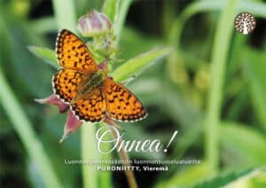 Onnittelukortti - Puroniitty