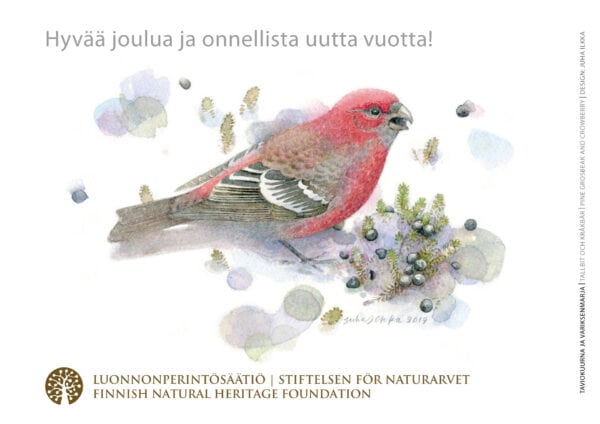 Joulukortti - Taviokuurna