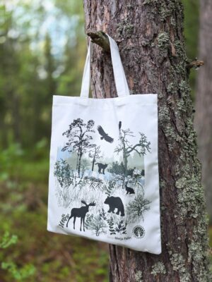 Kangaskassi Kaukametsä
