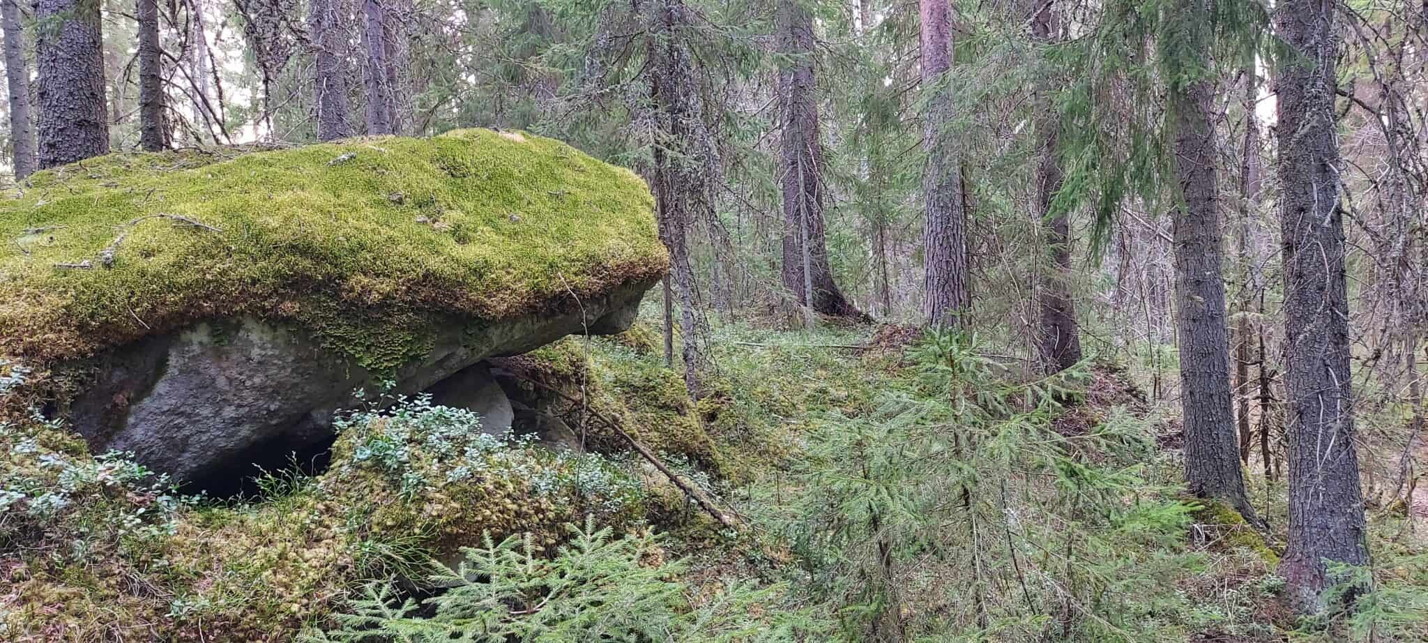Luonnonperintösäätiö Suojelee Suomalaista Luontoa