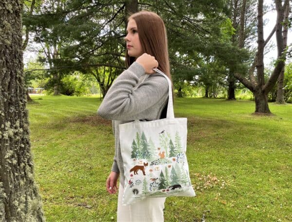 linnunlaulukassi ol linnunlaulukassi ol