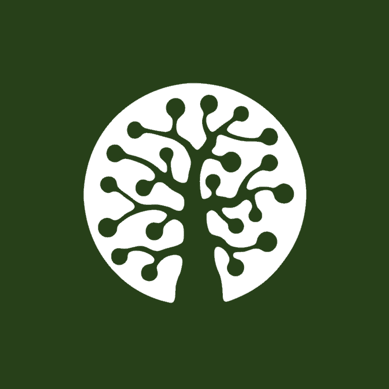 Pyyn metsä