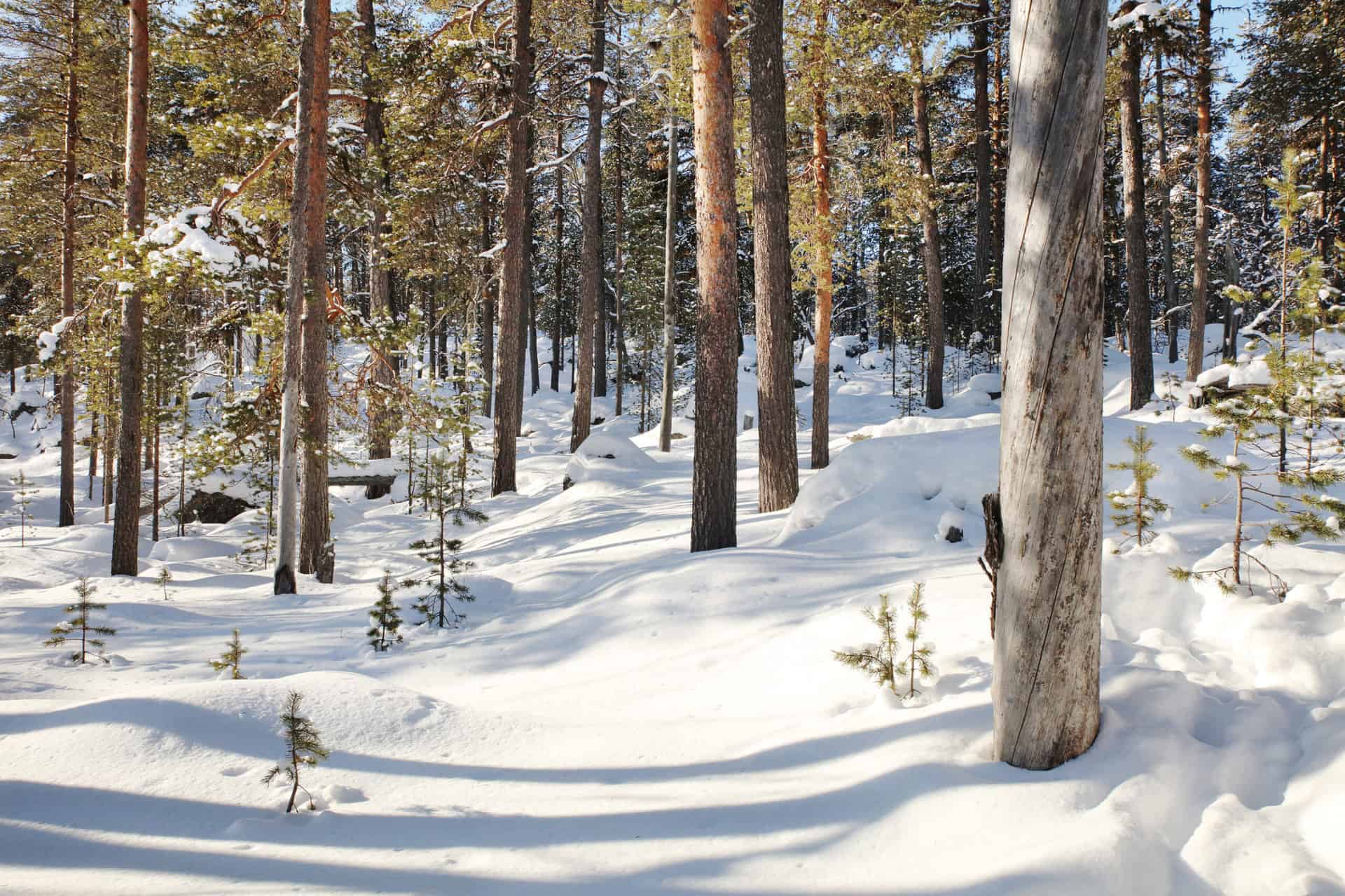 Keskimmäinen Kivijärvi