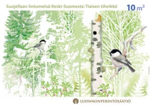Suojellaan lintumetsä Keski-Suomesta. Kuvitus: Juha Ilkka
