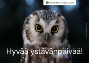 Ystävänpäiväkortti - Helmipöllö