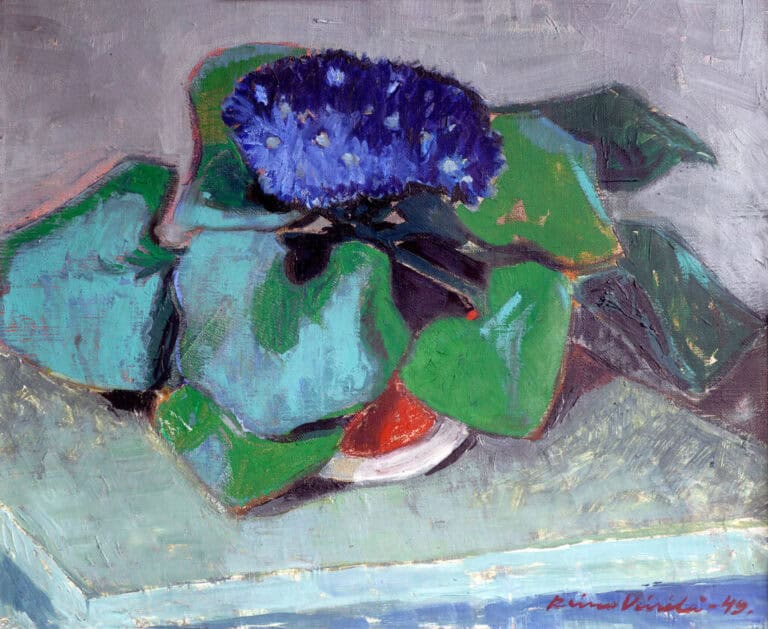 Kulttuuriväki tukee luonnonsuojelua