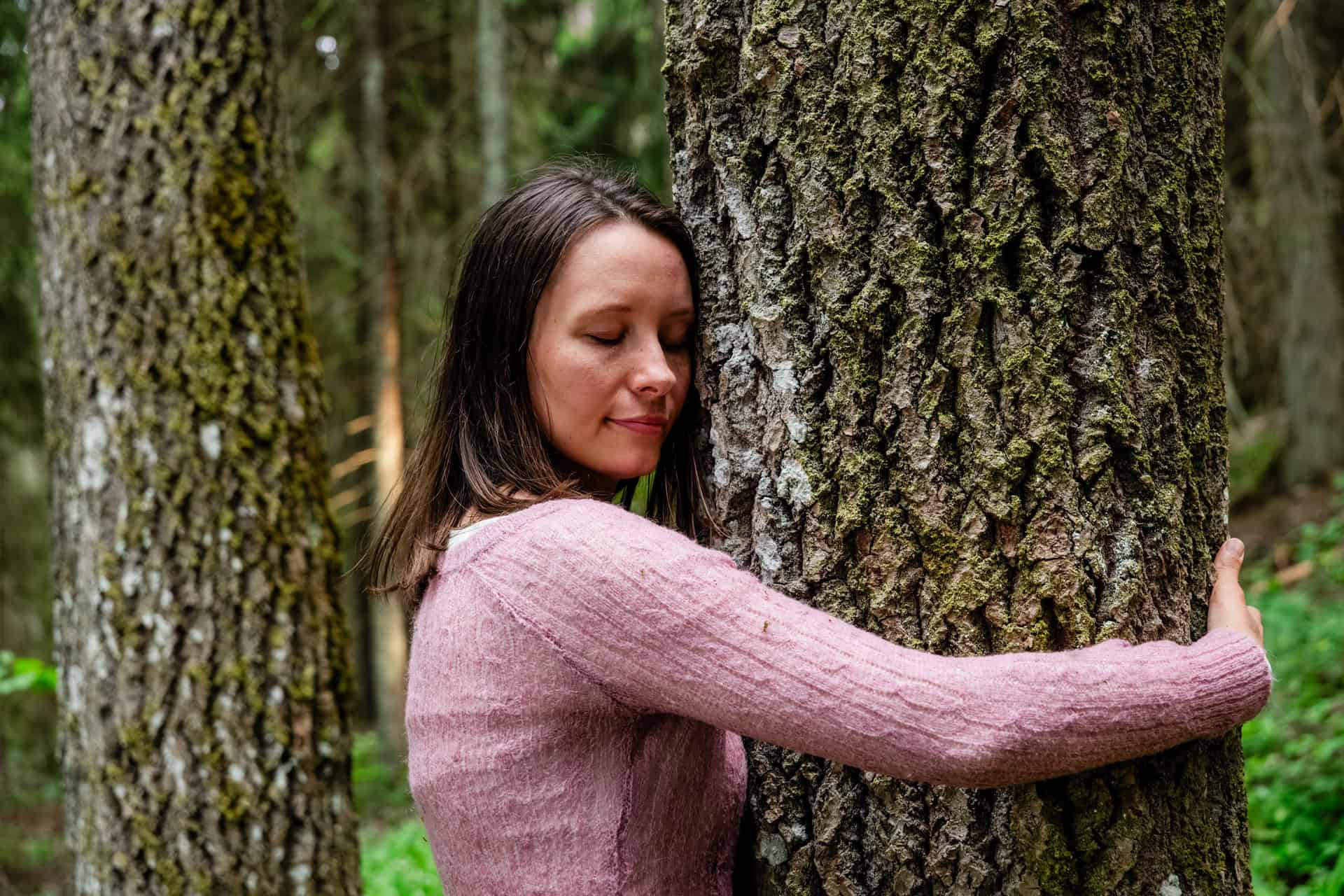 Terveysmetsä. Kuva: Okko Oinonen