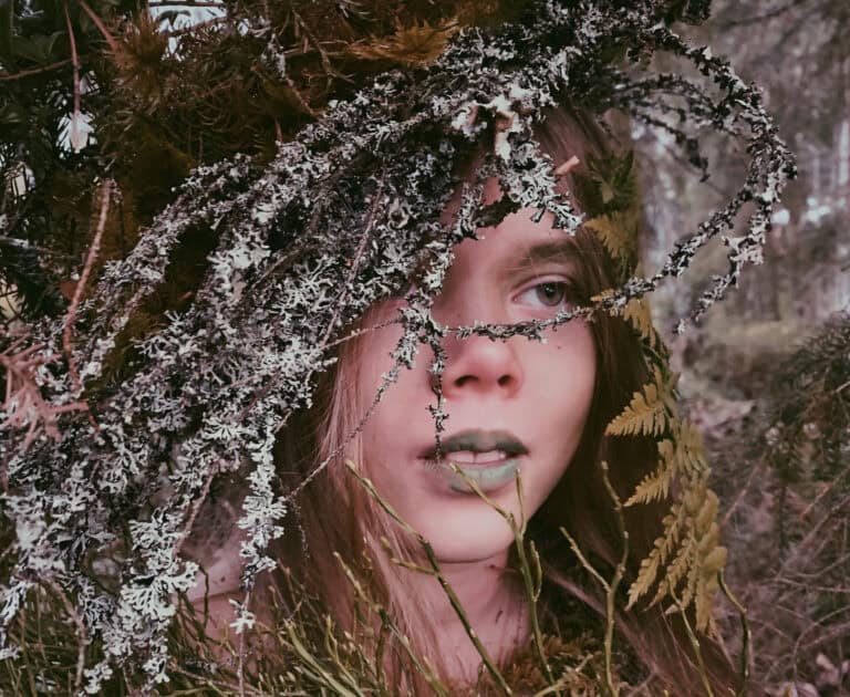 Louhen metsä. Kuva: Hanna Rantanen