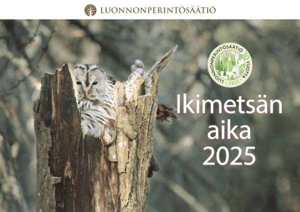 Ikimetsän aika 2025