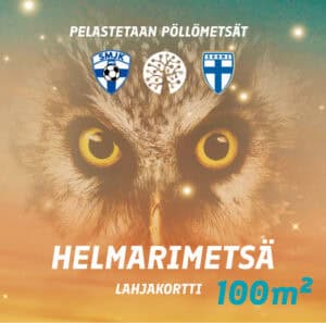 Helmarimetsä-lahjakortti (kartonkinen)