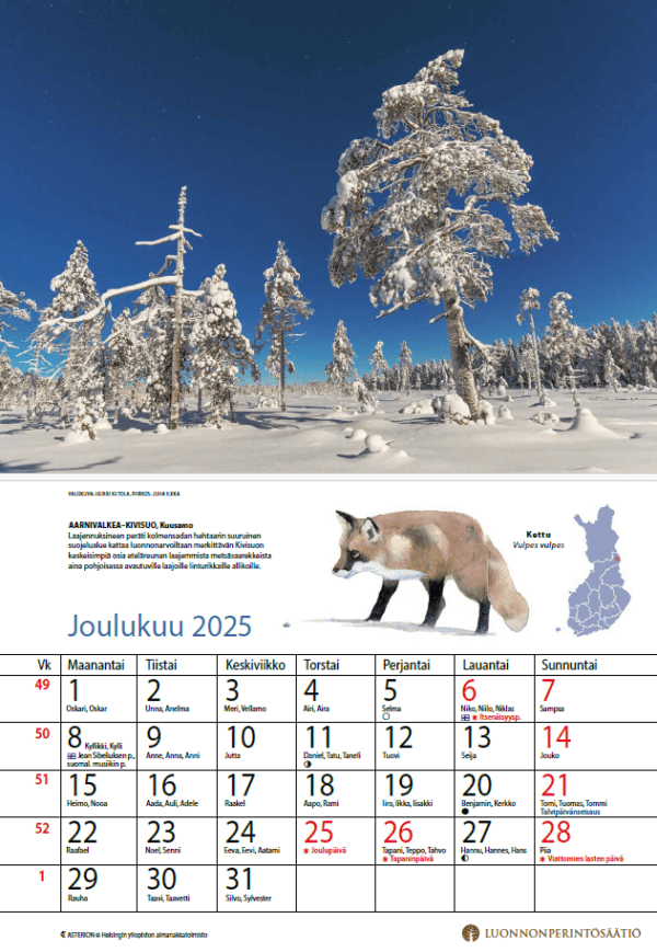 Ikimetsän aika joulukuu 2025 Ikimetsän aika joulukuu 2025