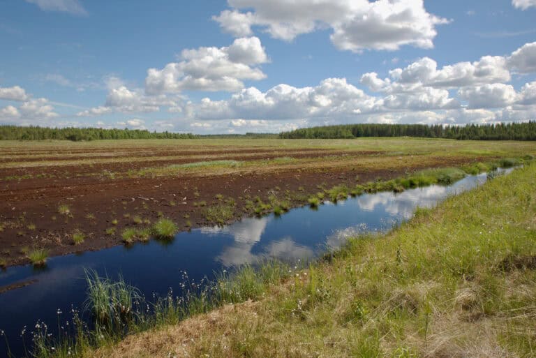 Raakunsuo. Kuva: Ari-Pekka Auvinen