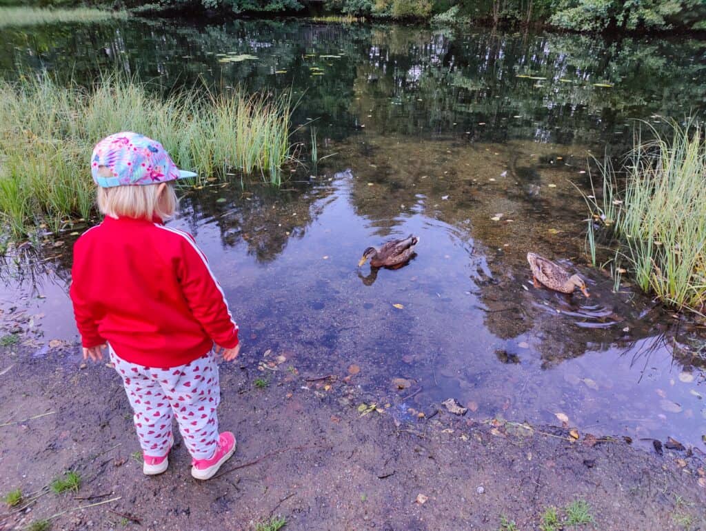 Kuva: Juho Hakkarainen