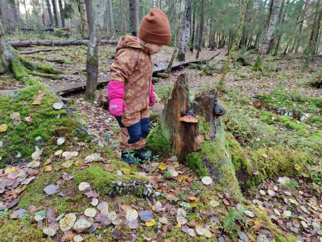 Kuva: Juho Hakkarainen