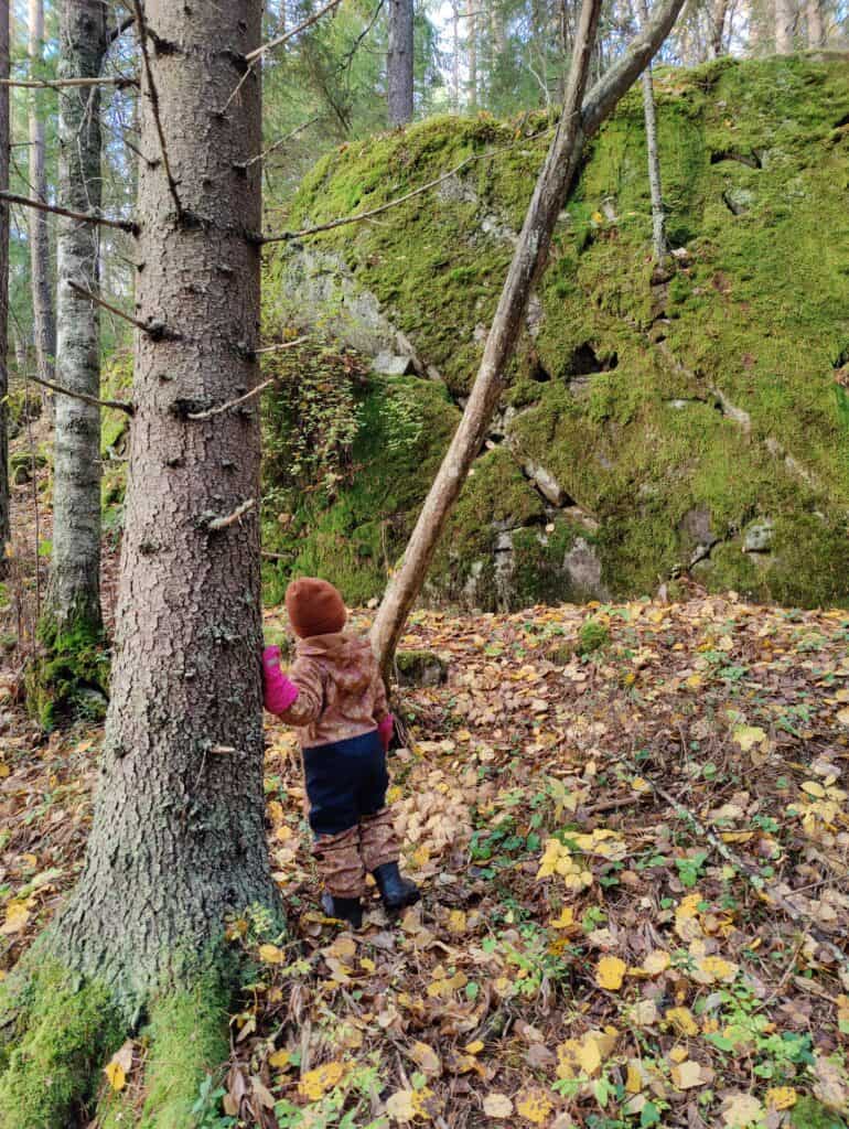 Kuva: Juho Hakkarainen