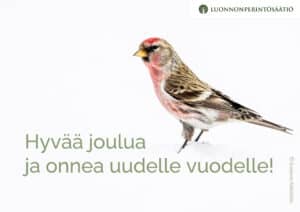 Urpiainen. Kuva: Susanna Seitakallio