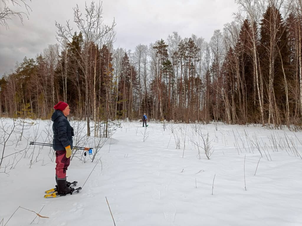 Pukin metsä. Kuva: Anneli Jussila