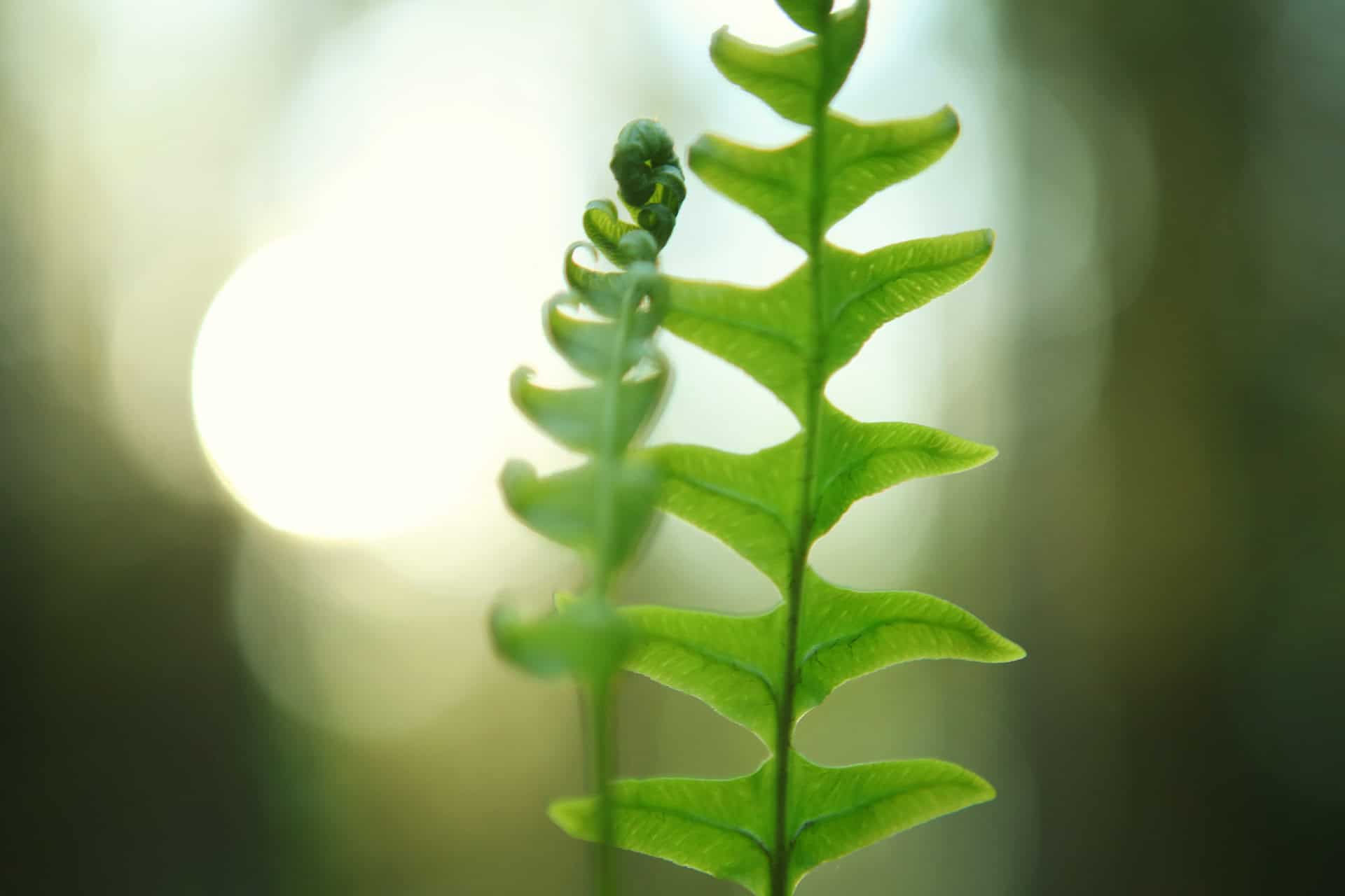 Verkasalo. Kuva: Ari-Pekka Auvinen