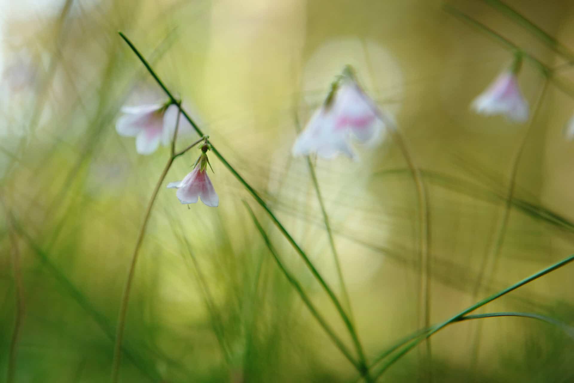 Verkasalo. Kuva: Ari-Pekka Auvinen