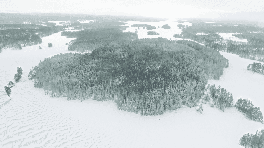 Vihatinsalo. Kuva: Jussi Salomäki