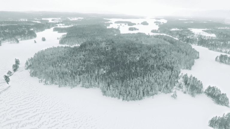 Vihatinsalo. Kuva: Jussi Salomäki