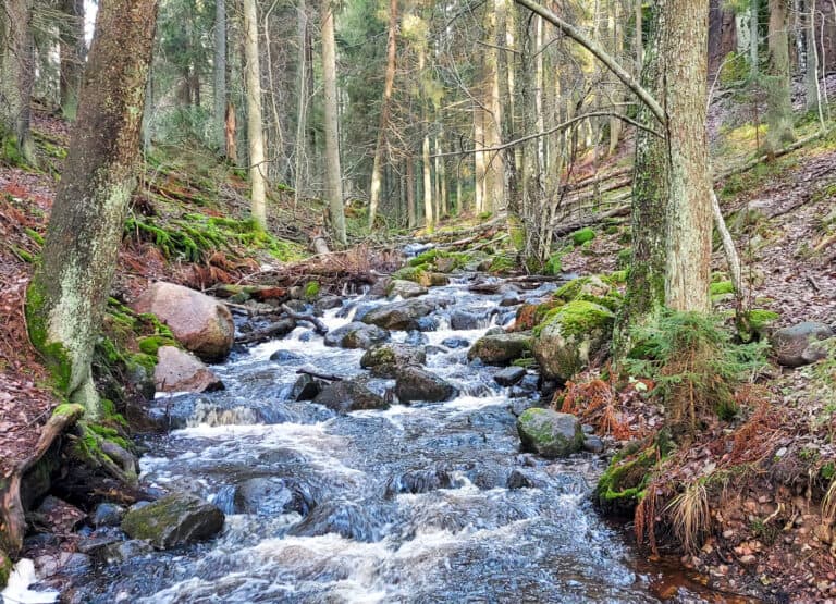 Kauhala. Kuva: Harri Hölttä