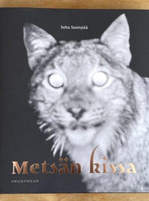 Metsän kissa