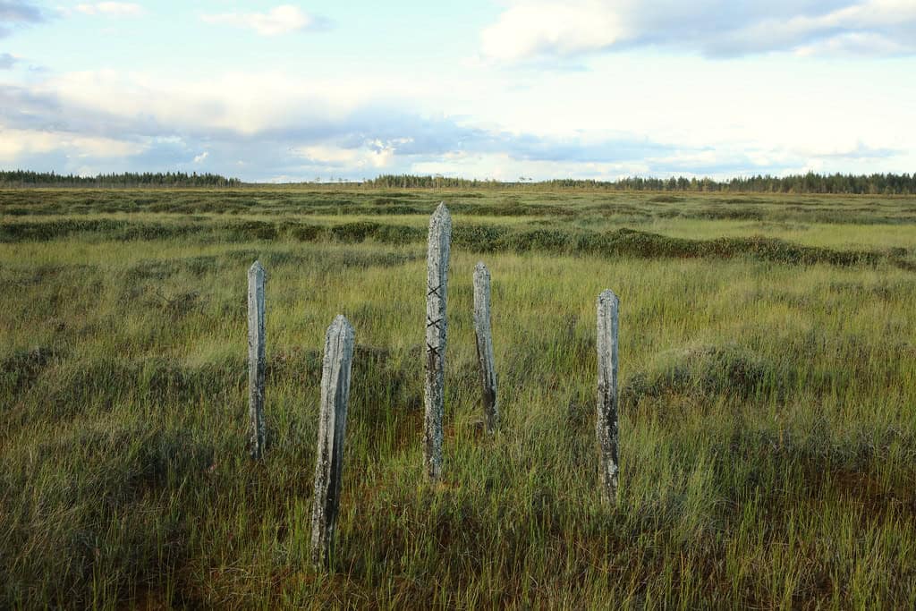 Kivisuo. Kuva: Ari-Pekka Auvinen