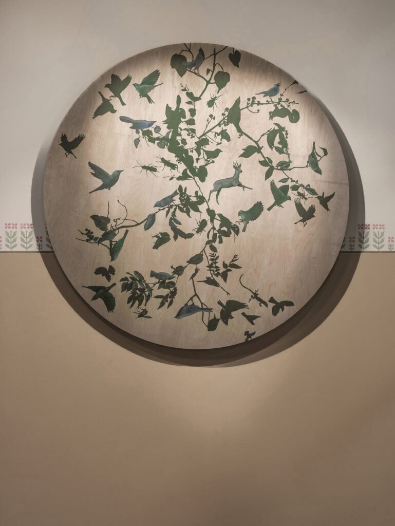 Pollen. Kuva: HAM / Maija Toivanen