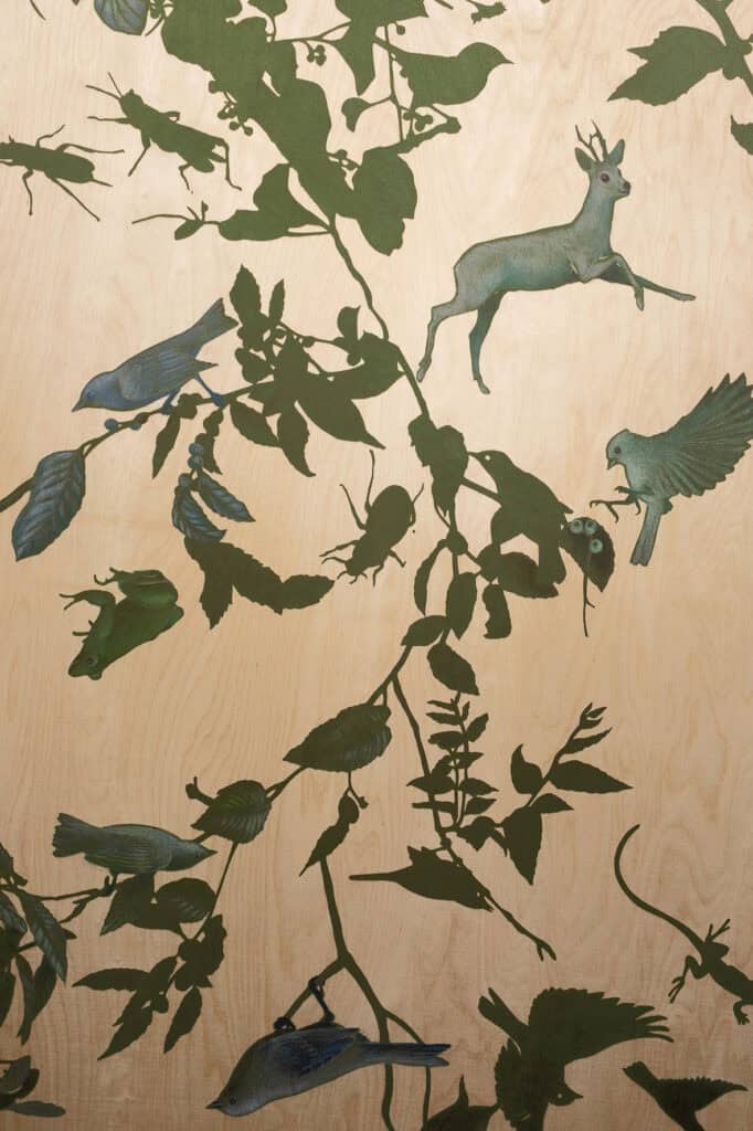 Pollen. Kuva: HAM / Maija Toivanen