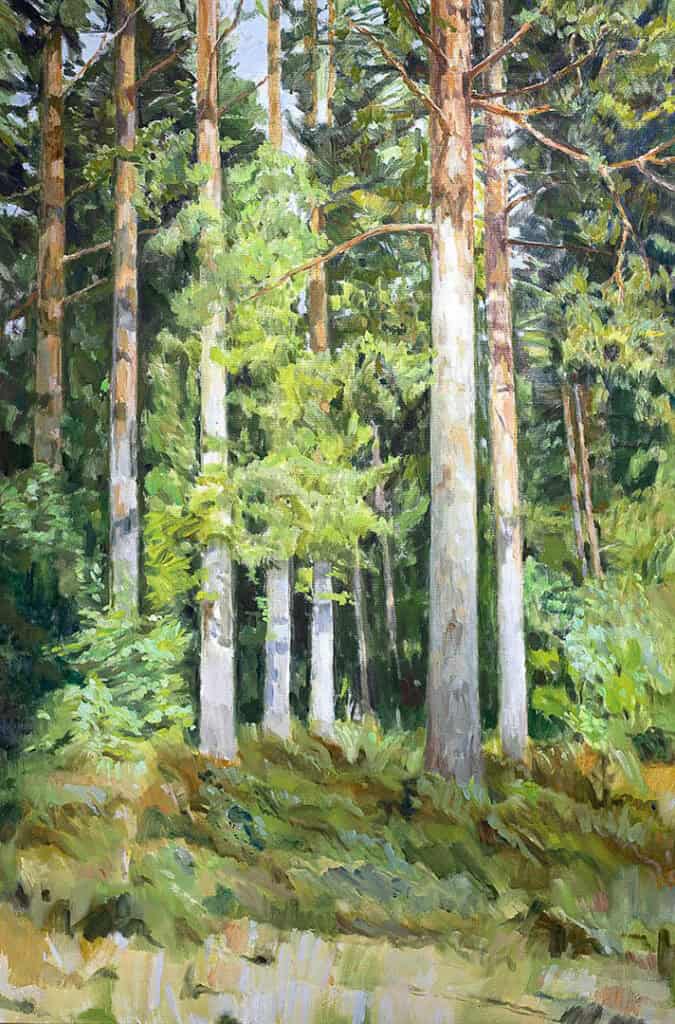 Arto Määttä: Ilta-aurinko Päivänsalossa