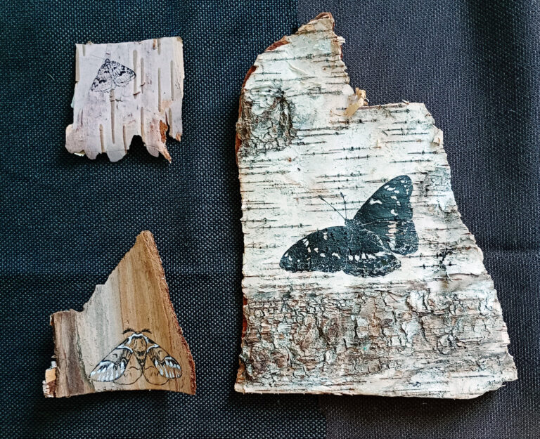 Susu Rytteri: Teos sarjasta Elämän puu