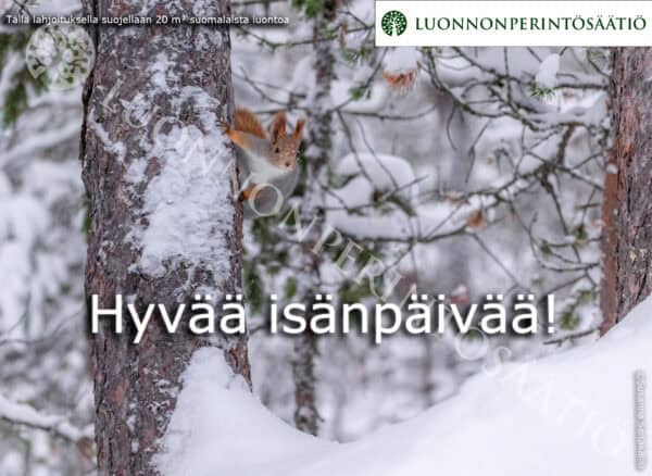 Isänpäivä-2025-Orava-20m2-ESIKATSELUKUVA