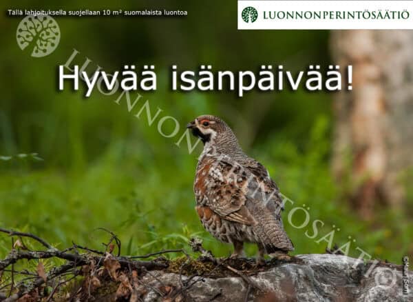 Isänpäivä-2025-Pyy-10m2-ESIKATSELUKUVA