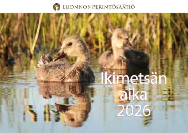 Kansikuva_nettiin