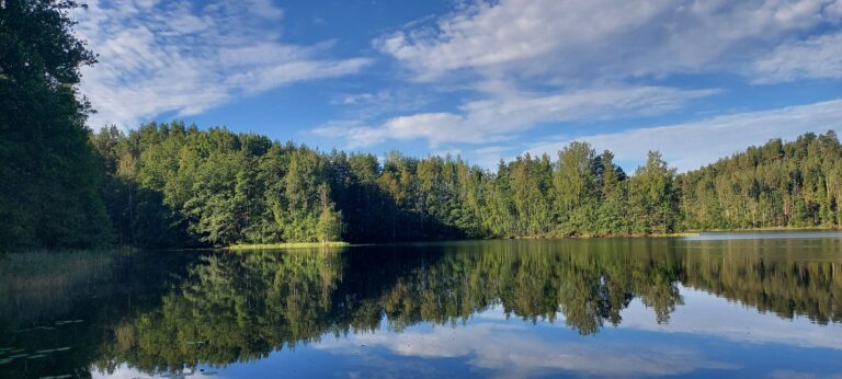 Luonnonperintösäätiölle uusia suojelumetsiä Etelä-Karjalaan