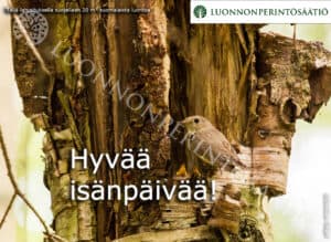 Isänpäiväkortti - Pikkusieppo