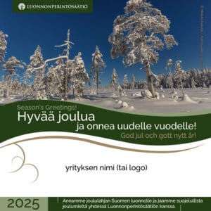 Yrityksen joulutervehdys - Aarnivalkea-Kivisuo