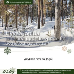 Yrityksen joulutervehdys - Kivijärven metsä