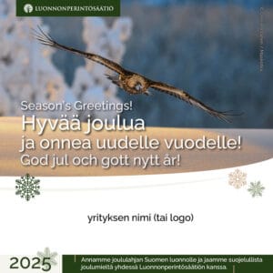 Yrityksen joulutervehdys - Maakotka