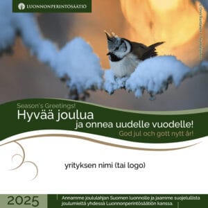Yrityksen joulutervehdys - Töyhtötiainen
