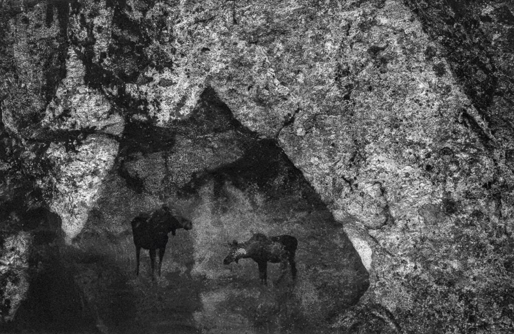 Kaksi hirveä ja kallio. 